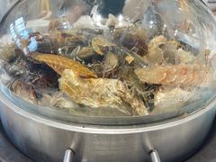 -大锅强·蒸海鲜青岛菜(吾悦广场店)