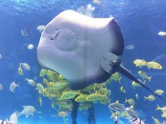 -华夏文旅海洋公园