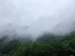 -青峰峡国家森林公园