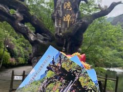 -龙湾潭国家森林公园