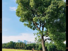 -山明水秀大饭店