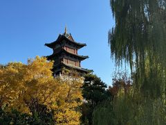 -迎泽公园