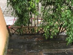 -天怡·鱼工厂(梅溪湖店)
