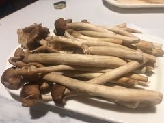 茶树菇-枇杷园食为鲜火锅(南山店)
