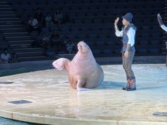 -波塞冬旅游度假区