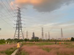-王借岗森林公园