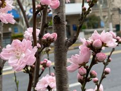 -蓝宝石大厦(天目中路)