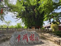 -大槐树寻根祭祖园