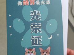 -睿金宠物医院·CT·肿瘤·骨外科