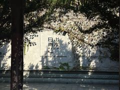 -日出青木