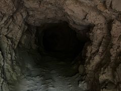 -上海佘山国家森林公园天马山园