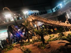 -自贡恐龙博物馆