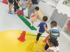 -金色雨林学习力培优(专注力提升)