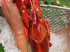 -和创柚子·会席日本料理(新区淮海街店)