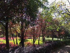 -洛龙公园