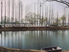 -金银湖国家城市湿地公园