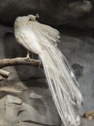 -Zoolung Zoolung动物主题公园(海信广场店)