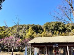 -苏州上方山国家森林公园
