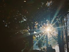 -留芳·文旅古月楼(老街店)