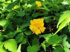 -白塘生态植物园