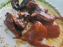 -麻奢鸽农庄·梦里水乡