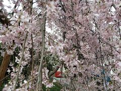 -西安青龙寺遗址景区