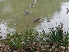 -西安浐灞国家湿地公园