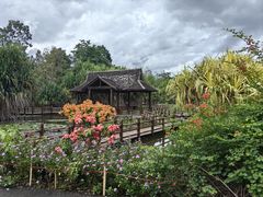 -中国科学院西双版纳热带植物园
