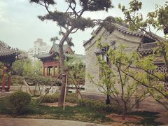 -迎泽公园