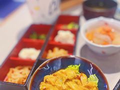 -dodonpa.墩墩伐 便当食堂(博华广场店)