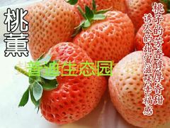 -普迪生态园