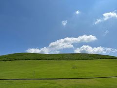 -奈良公园