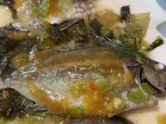 -百年银屏蚝烙·潮汕菜·非遗(乐山店)