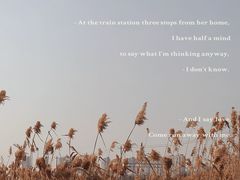 -贡湖湾湿地公园