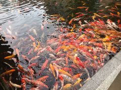 -番禺宾馆丽苑厅
