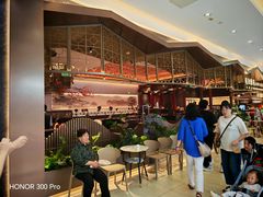 -羲和雅苑•北京烤鸭(平安国际金融中心店)