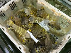 -寻味顺德·南记酒家·传统顺德菜·鱼生(广源路店)
