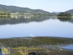 -余姚四明湖开元名都度假酒店·夏威夷西餐厅