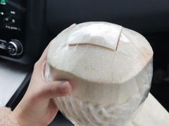 -百果园PAGODA(中铭豪园店)