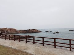 -小麦岛公园