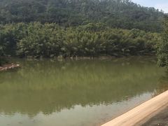 -滴水岩森林公园
