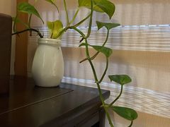 -净耳阁采耳文化体验馆(华强北店)