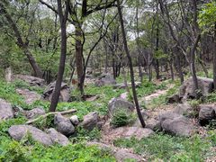 -大觉寺-停车场