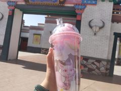 -嘉峪关方特欢乐世界