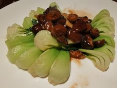 香菇菜心-芳芳私房菜·精做淮扬菜(承德路店)