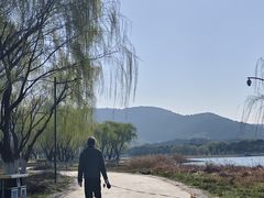 -江阴敔山湖公园