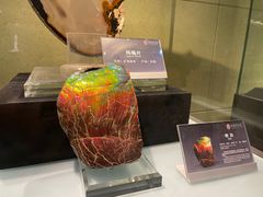 -中华赏石园