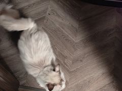 -强手盲人推拿·颈肩腰背调理(南新路店)