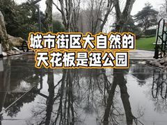 -静安公园(静安寺街道)