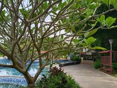 -台山颐和温泉城